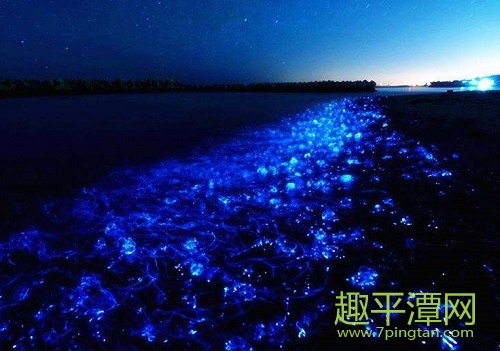 平潭藍(lán)眼淚